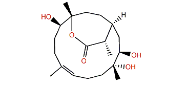 Sinuflexibilin B